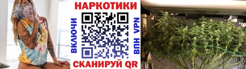 Сколько стоит Иланский АМФ  Бошки Шишки 