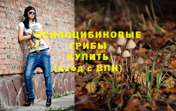 PSILOCYBIN Верхний Тагил