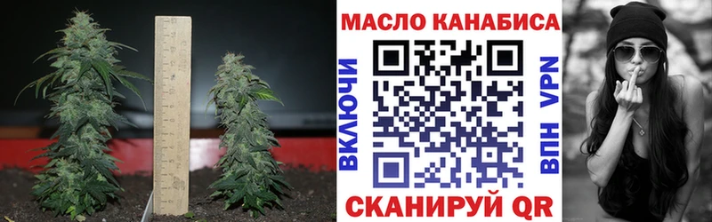 Дистиллят ТГК гашишное масло Иланский