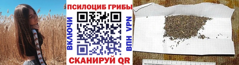 Псилоцибиновые грибы мухоморы  купить  сайты  ссылка на мегу ССЫЛКА  Иланский 